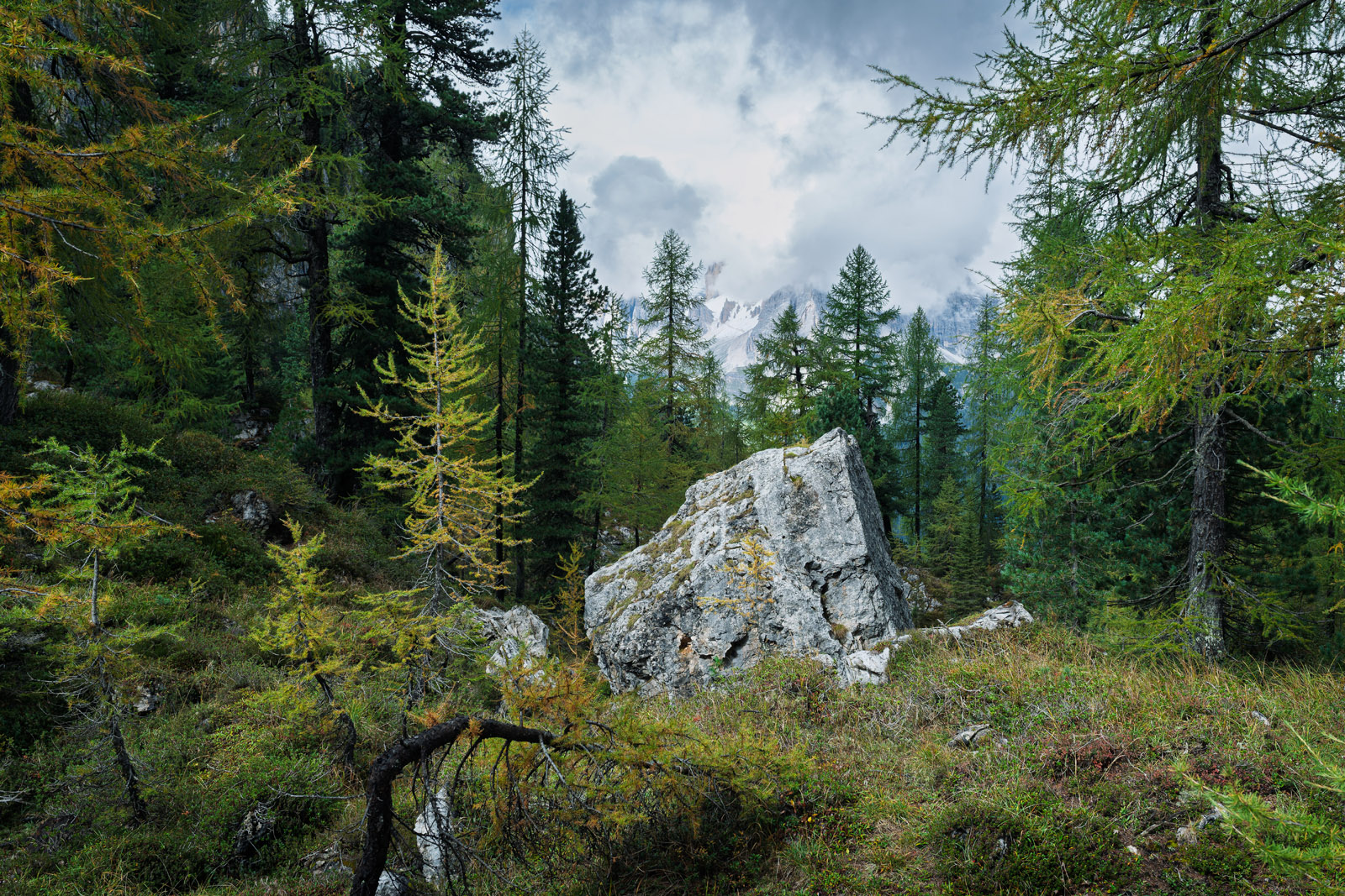 Suedtirol Herbst 2025 XT57988 RAF